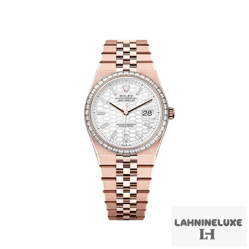 Land-Dweller Rose Gold Intense White Dial Diamond Bezel